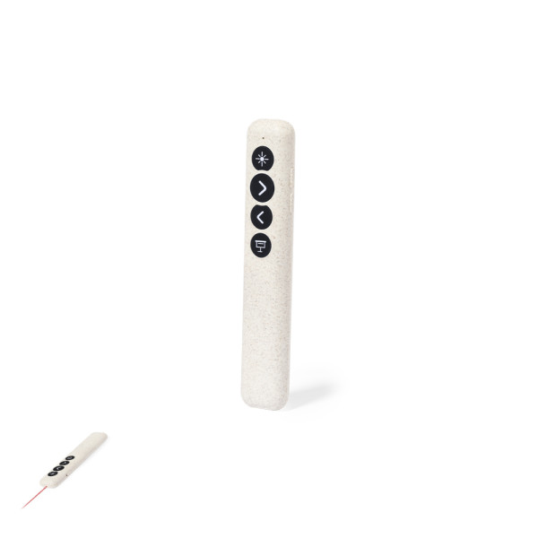 Presenter Laser Pointer Lesi